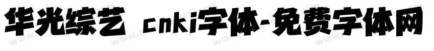 华光综艺 cnki字体字体转换